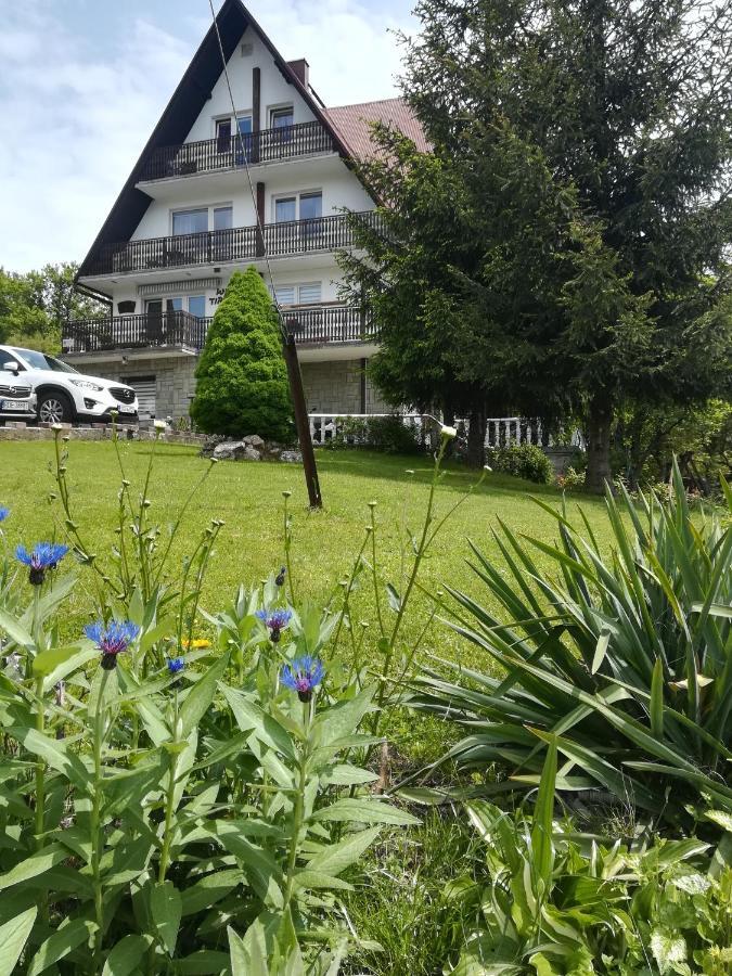 Willa Tiramisu Szczawnica Bagian luar foto